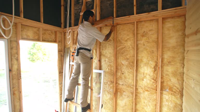 Best Soundproof Insulation  in Corydon, IA