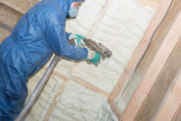 Best Eco-Friendly or Green Insulation Solutions  in Corydon, IA